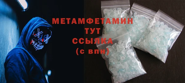 прущие грибы Верея