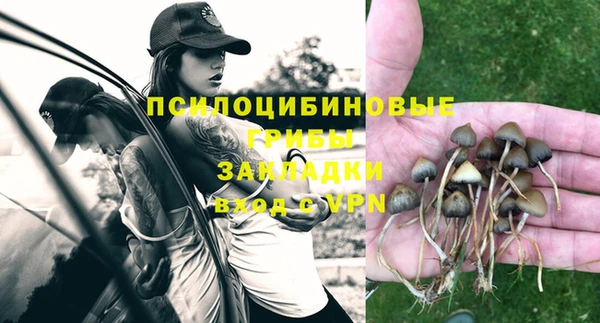 прущие грибы Верхнеуральск