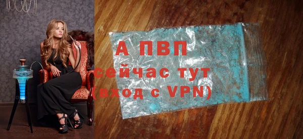прущие грибы Верея