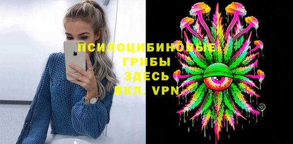 прущие грибы Верхнеуральск