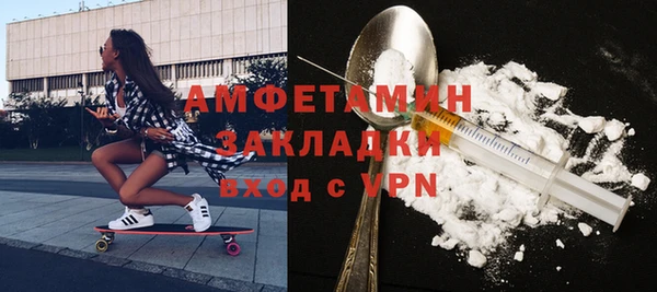 прущие грибы Верея