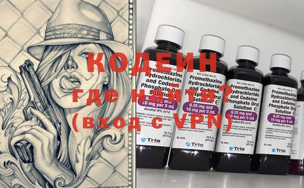 прущие грибы Верея