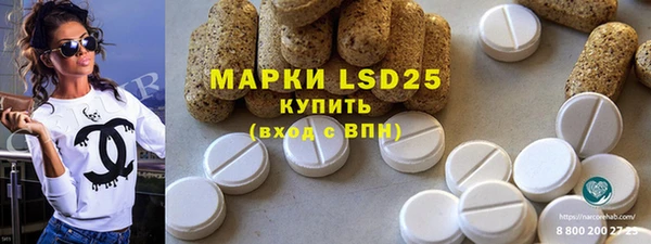 прущие грибы Верея