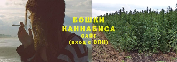бошки Верхний Тагил